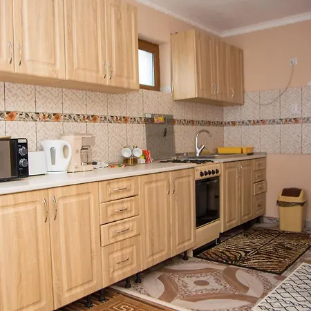 Apartment Casa Stefania 1 Calimanesti