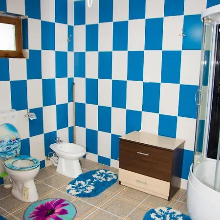 Apartment Casa Stefania 1 Calimanesti