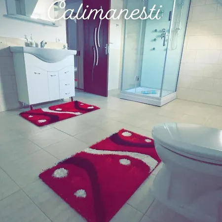 Apartament Casa Stefania 1 Călimăneşti
